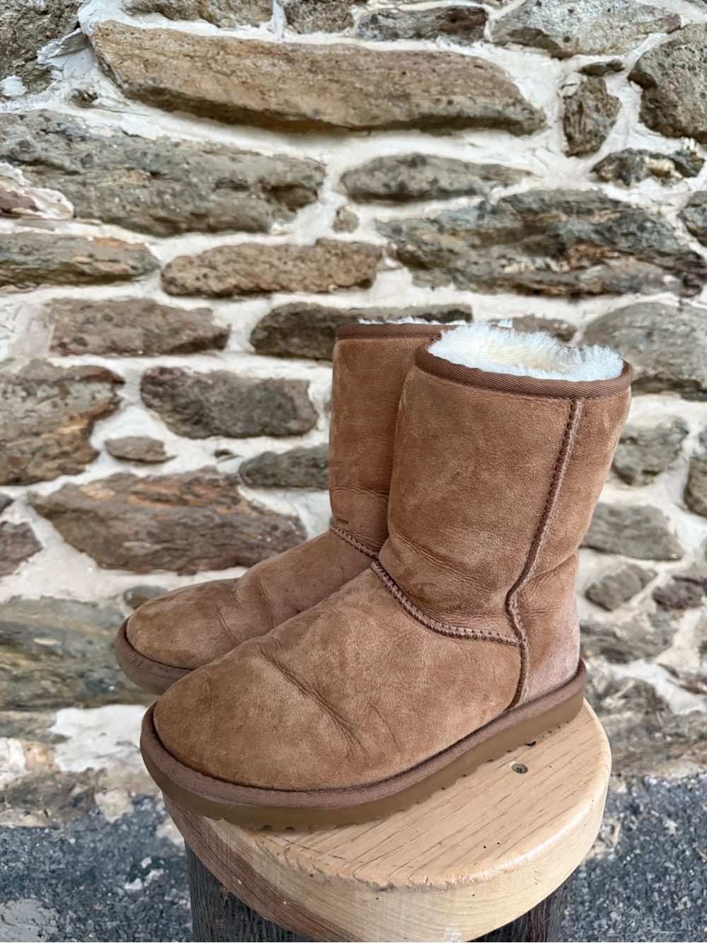 Women’s 7 Short Chesnut Uggs